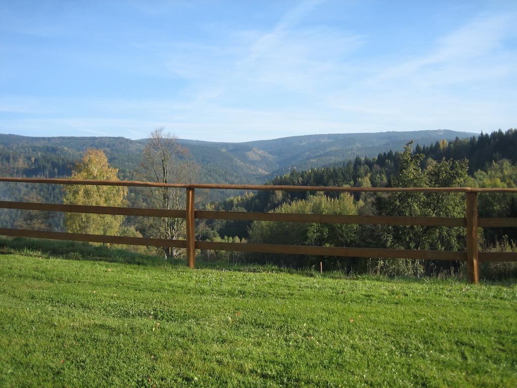 Apartmány Vydrýsek Srní Exterior foto